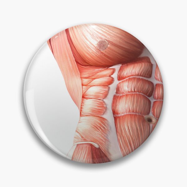 Item preview, Body Anatomy 1 Muscular Frame Stock Training Workout Motivation Quote Weight Lifting Fitness Wall Art Print Great Gift Gym Home Wall Decor Picture designed and sold by ConradSignature.