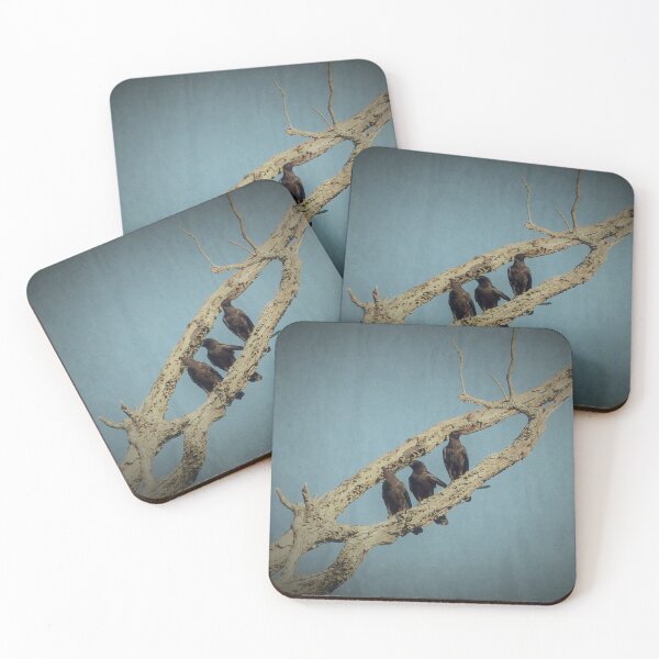 Item preview, 3 Crows designed and sold by Frankie Cat Photography.