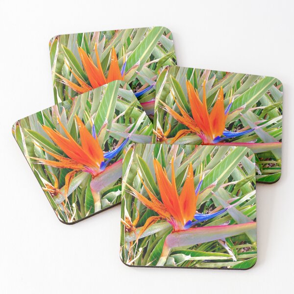 Item preview, Bird Of Paradise  designed and sold by TmartUS.