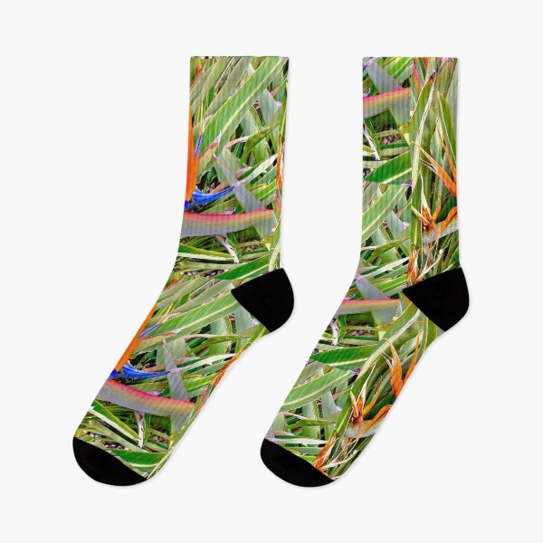 Item preview, Bird Of Paradise  designed and sold by TmartUS.