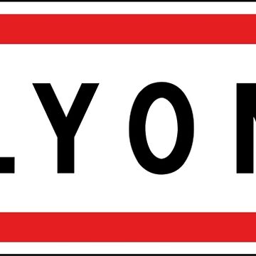Artwork thumbnail, Lyon City panel by BubbleManShop