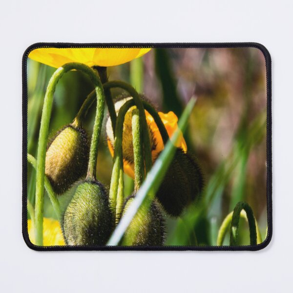 Item preview, Spring has sprung designed and sold by CanadianWild418.