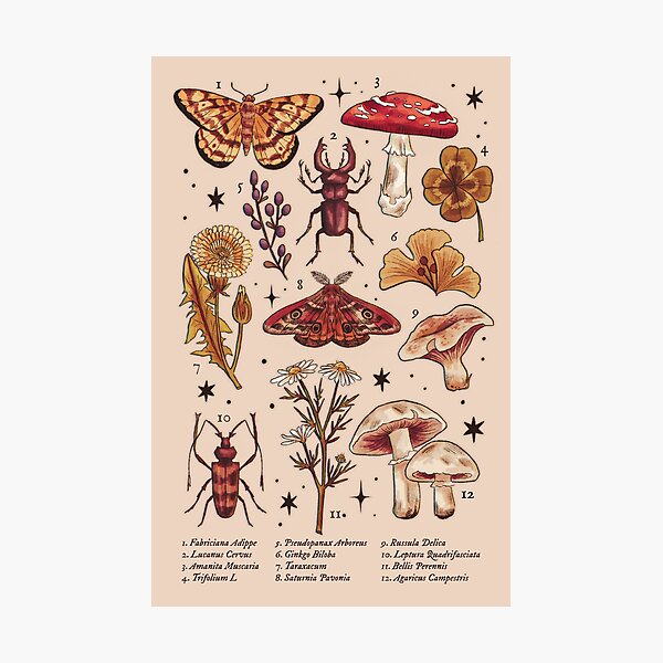 Item preview, Botanical Illustration designed and sold by LanyLevendula.