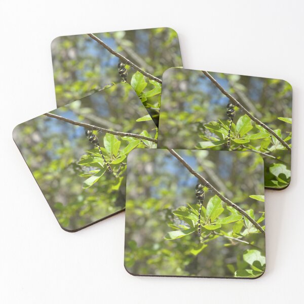 Item preview, Dragonfly designed and sold by charlymac.
