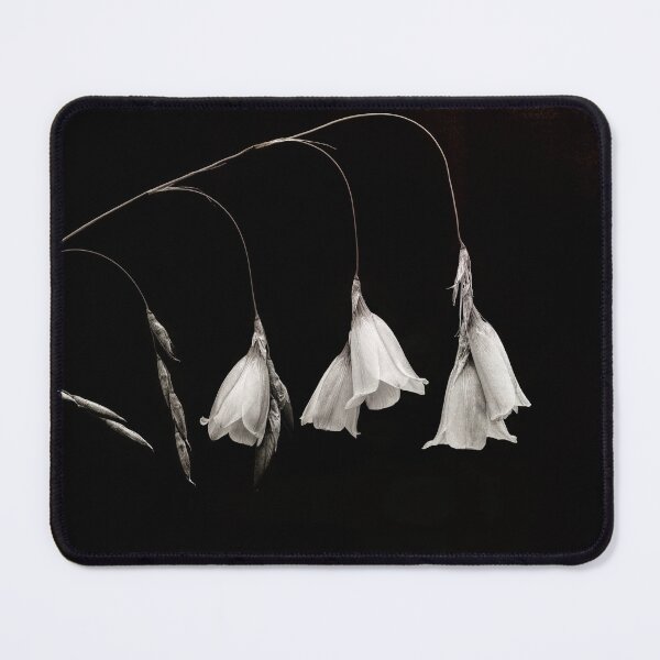 Item preview, Campanula in Monochrome designed and sold by Susan Maxwell Schmidt.