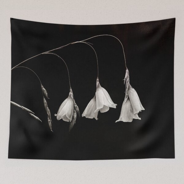 Item preview, Campanula in Monochrome designed and sold by Susan Maxwell Schmidt.