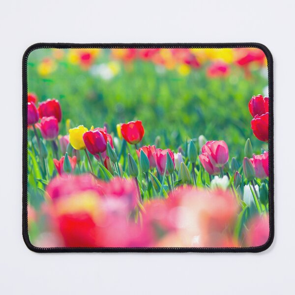 Item preview, Stunning colourful Tulip Field designed and sold by CyaniRose.