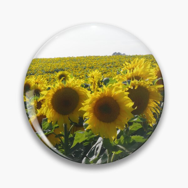 Artikelvorschau, Sonnenblumenfeld entworfen und verkauft von Ally Tate.