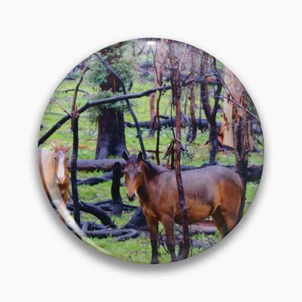 Item preview, After The Fires - Brumbies  designed and sold by D-GaP.