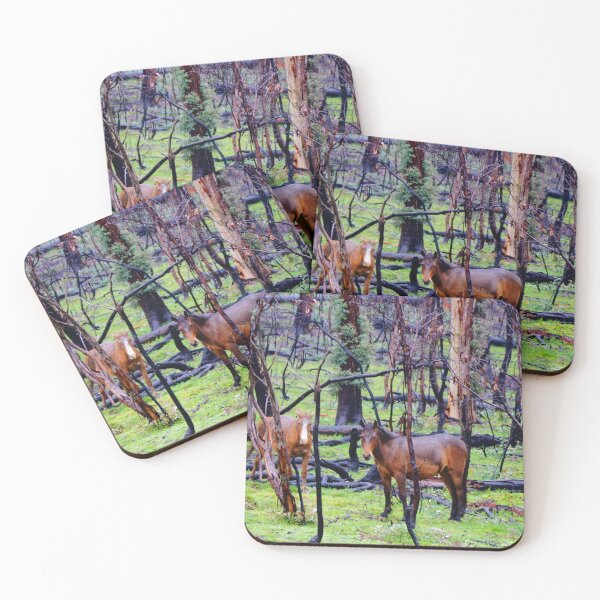 Item preview, After The Fires - Brumbies  designed and sold by D-GaP.