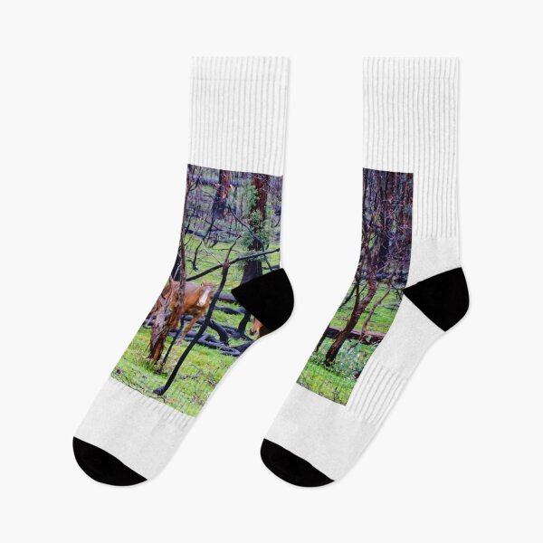 Item preview, After The Fires - Brumbies  designed and sold by D-GaP.
