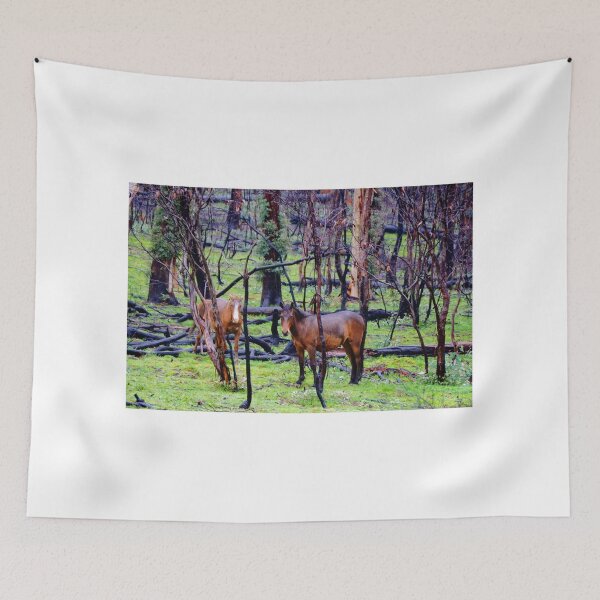 Item preview, After The Fires - Brumbies  designed and sold by D-GaP.