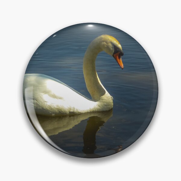 Item preview, Swan on Thames river at Chiswick Mall, London designed and sold by Fran Woods.