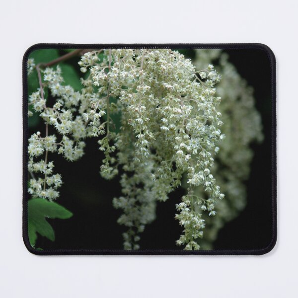 Item preview, Cascade designed and sold by Vicki Pelham.
