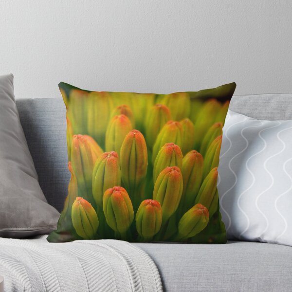 Item preview, Agave Serenade designed and sold by Vicki Pelham.