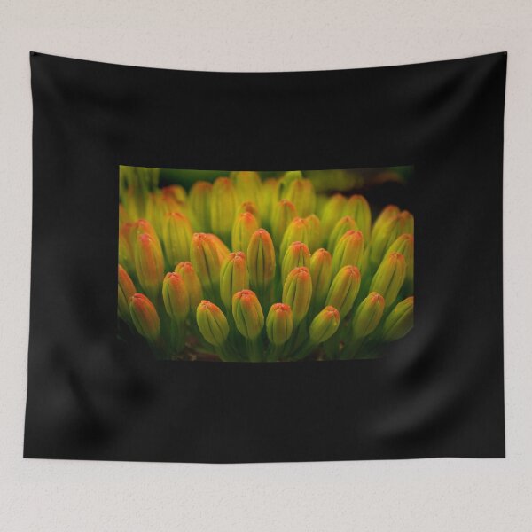 Item preview, Agave Serenade designed and sold by Vicki Pelham.