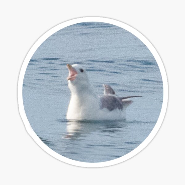 Item preview, Loud Seabird designed and sold by taeylenol.