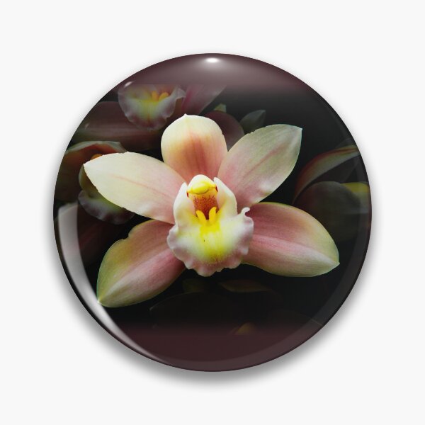 Item preview, Cymbidium orchid designed and sold by indiafrankk.