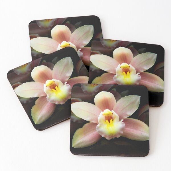 Item preview, Cymbidium orchid designed and sold by indiafrankk.