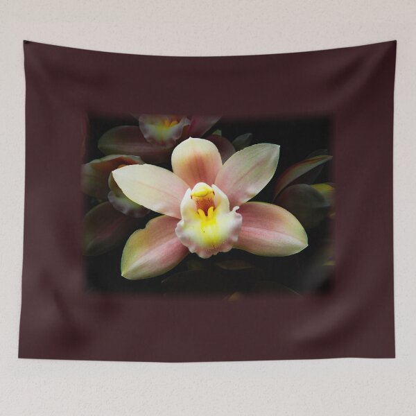 Item preview, Cymbidium orchid designed and sold by indiafrankk.