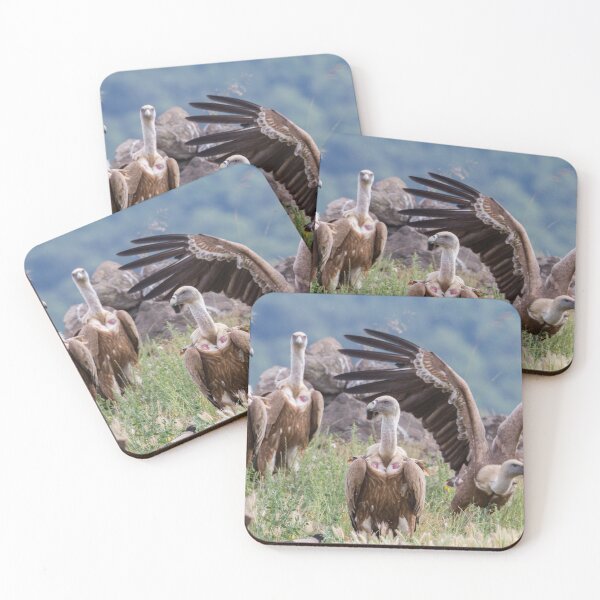 Item preview, Griffon Vulture #1 designed and sold by Dominika Aniola.