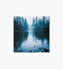 Forest Mountain Fog - Blue Lake Reflection Art Board