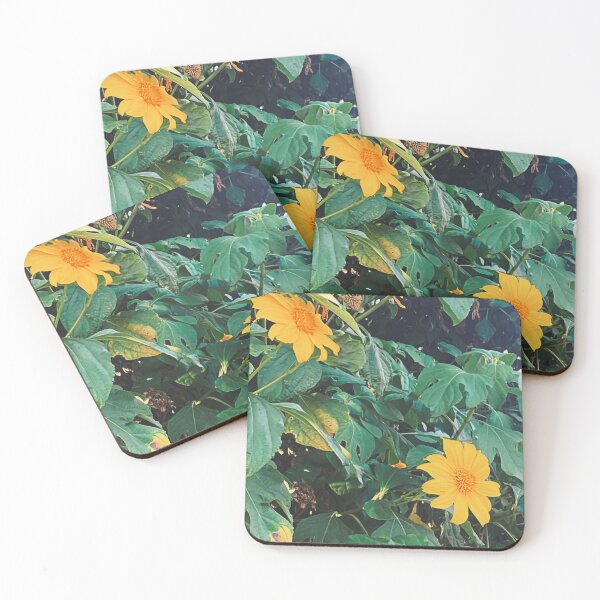 Item preview, Daisies designed and sold by HapaLady92.