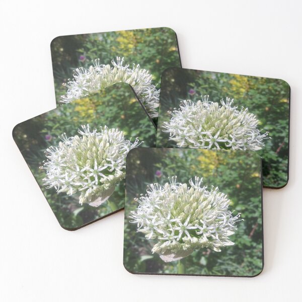 Item preview, Close Up Globe Thistle - Photograph designed and sold by marvacousins246.