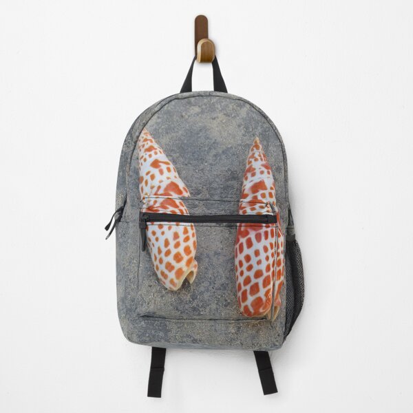 Item preview, Mitra mitra seashells designed and sold by greentiger1.