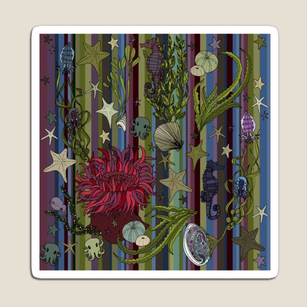 Rockpool Magnet