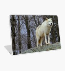 Arctic Wolf Watching Laptop Skin