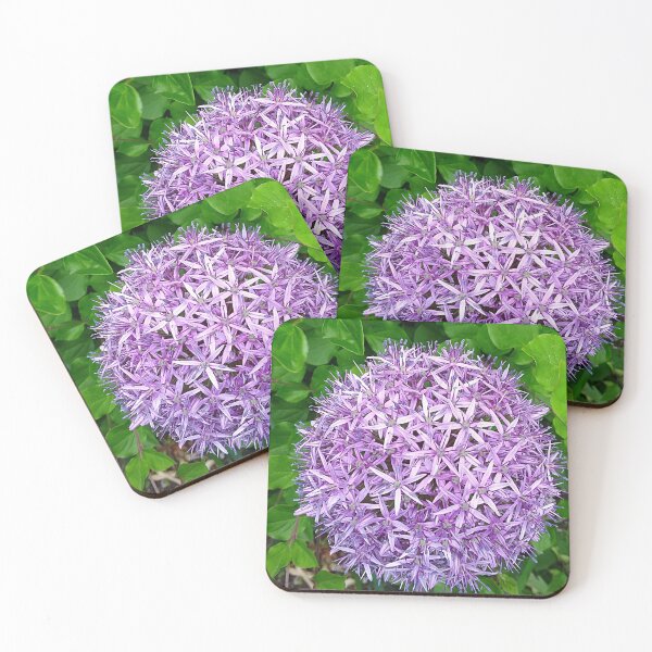 Item preview, Echinops, Photographic Prints designed and sold by marvacousins246.