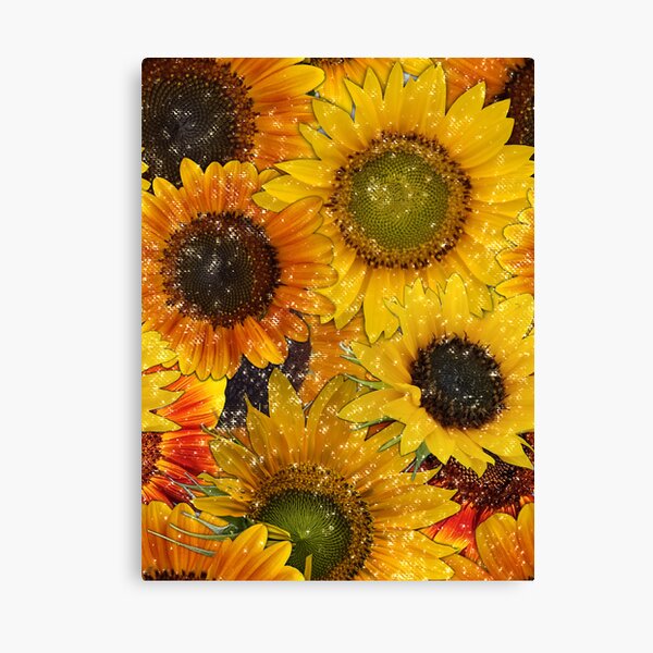 Sunflowers From My Garden No. 010 Canvas Print