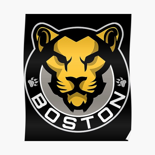 BOSTON Pro Team Logos - Wall Art Poster, 8x10 Color Photo