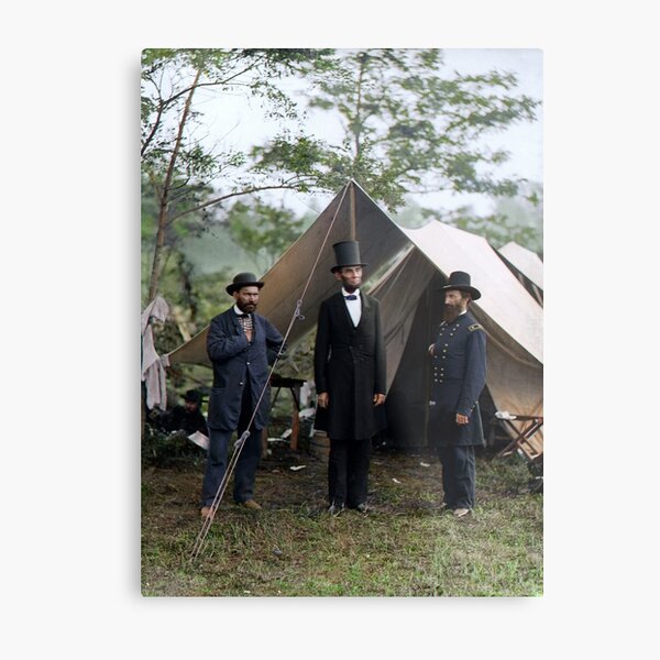 Metal Print