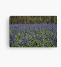 Knee Deep In The Blues On a WIndy Day Canvas Print