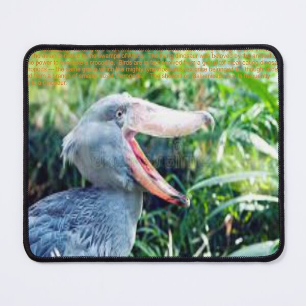 Item preview, Shoebill Art designed and sold by Alicefish.