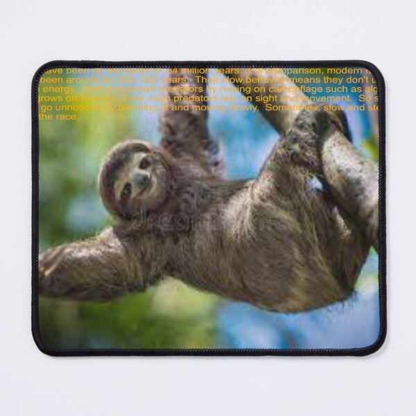 Item preview, Sloth Art designed and sold by Alicefish.