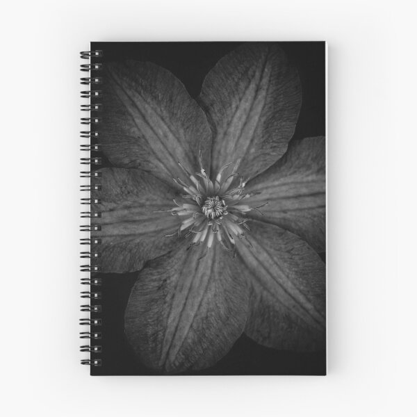 Item preview, An (anti-anti climactic) moment in the monochrome garden designed and sold by alan shapiro.