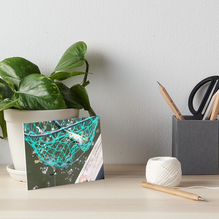 Item preview, Art Board Print designed and sold by SunnyImage.