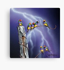 Rainbows after the Storm Canvas Print