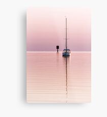 Rose-Coloured Dawn Metal Print