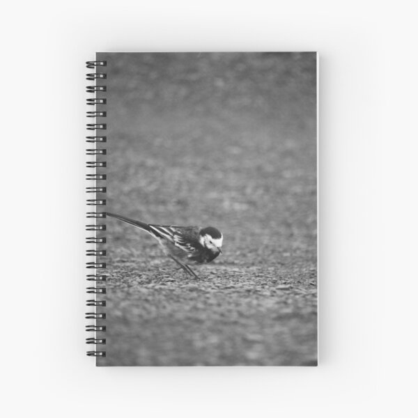 The Road Spiral Notebook