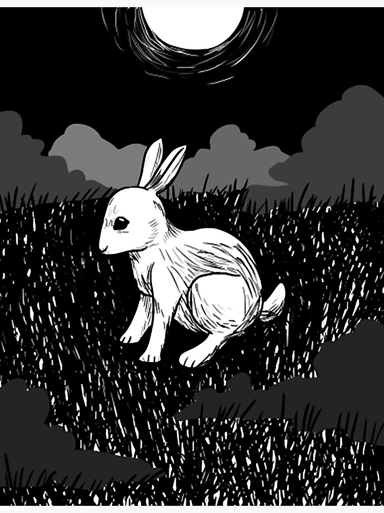 "Black and White Rabbit " Sticker for Sale by TonyaHall64772 Redbubble