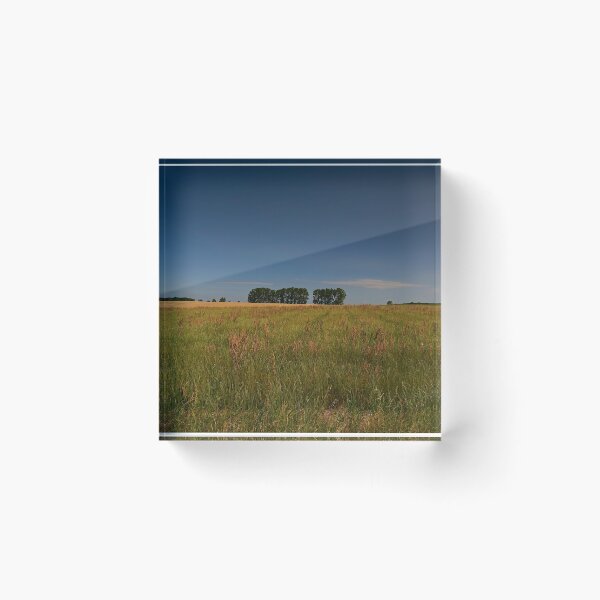 Item preview, Poplars on the horizon designed and sold by Mark Bangert.