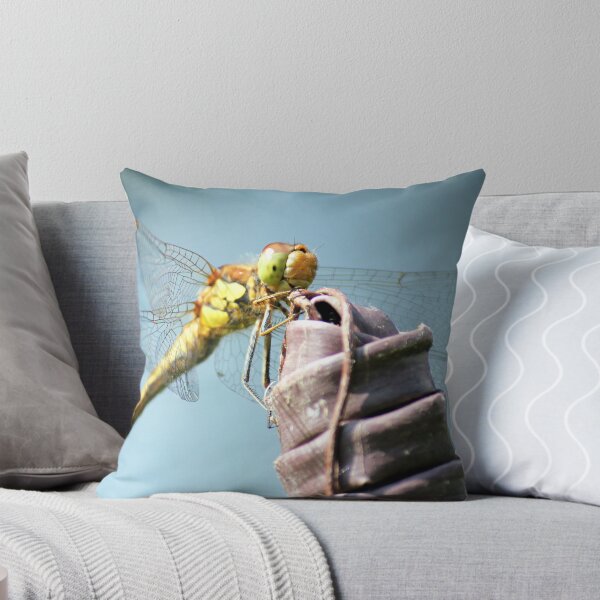 Item preview, dragonfly female ruddy darter, close up of face looks like is smiling due to markings - Odonata, Ruddy Darter. (Sympetrum Sanguineum) designed and sold by cheekylorns.