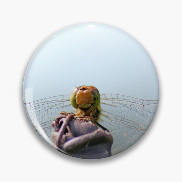 Item preview, dragonfly female ruddy darter, close up of face looks like is smiling due to markings - Odonata, Ruddy Darter. (Sympetrum Sanguineum) designed and sold by cheekylorns.