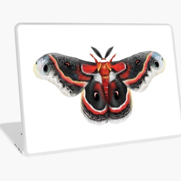 Beautiful Cecropia Moth Illustration Laptop Skin