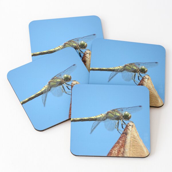 Item preview, dragonfly female ruddy darter, close up of face looks like is smiling due to markings - Odonata, Ruddy Darter. (Sympetrum Sanguineum) designed and sold by cheekylorns.