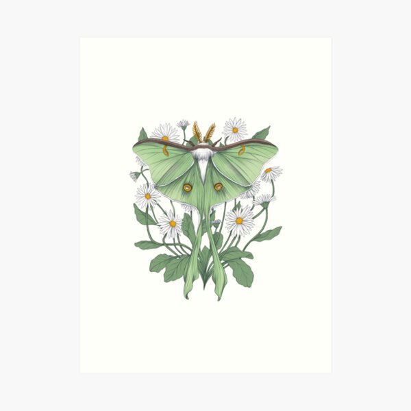 Metamorphosis Art Print